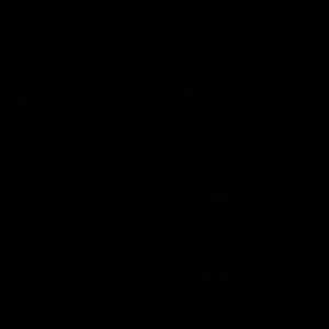 Meet your Posher, Hugo